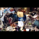 Thermal Artifacts detail 8x12 in.jpg